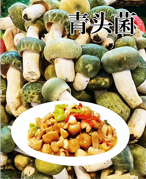 微信图片_20241120223656_副本.jpg