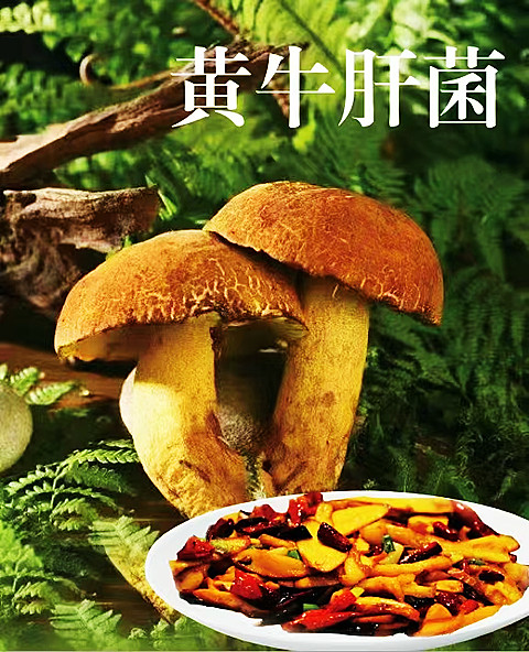 微信图片_20241120223646_副本.jpg