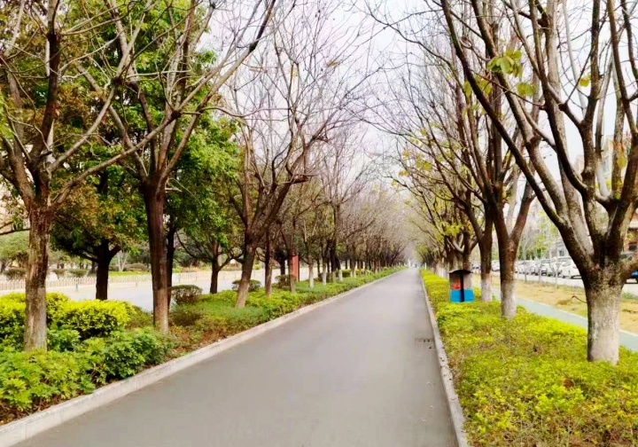 微信图片_20250326205317_副本.jpg