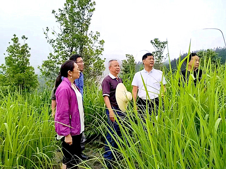 image001_副本.jpg