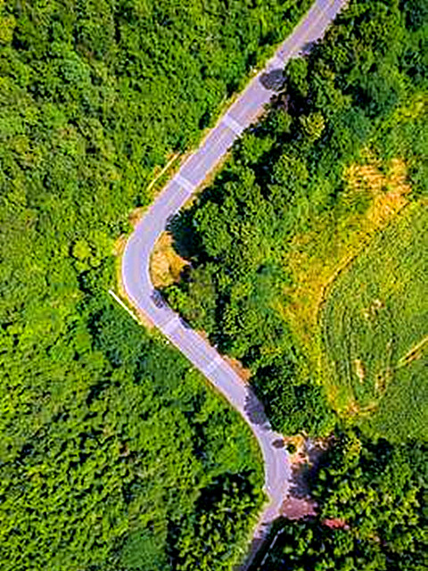 t0416746d7d3844a46b_副本.jpg