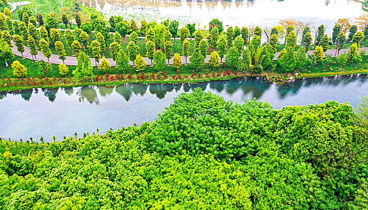 image003_副本.png