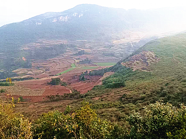 特别的年味 602_副本.png