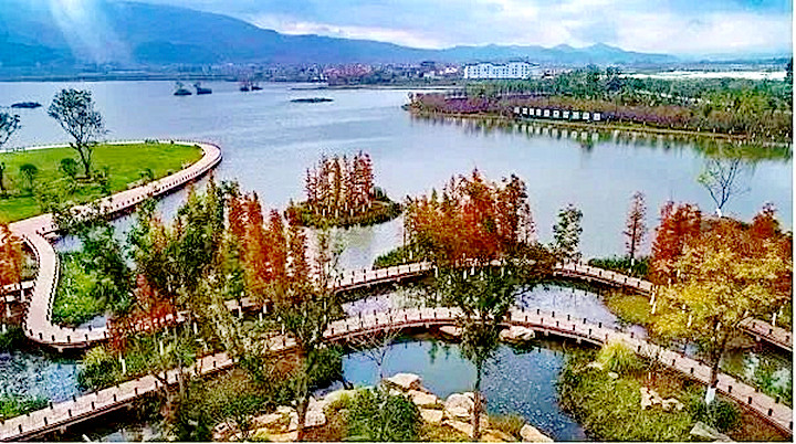 图6、泸西县黄草洲湿地公园_副本.jpg